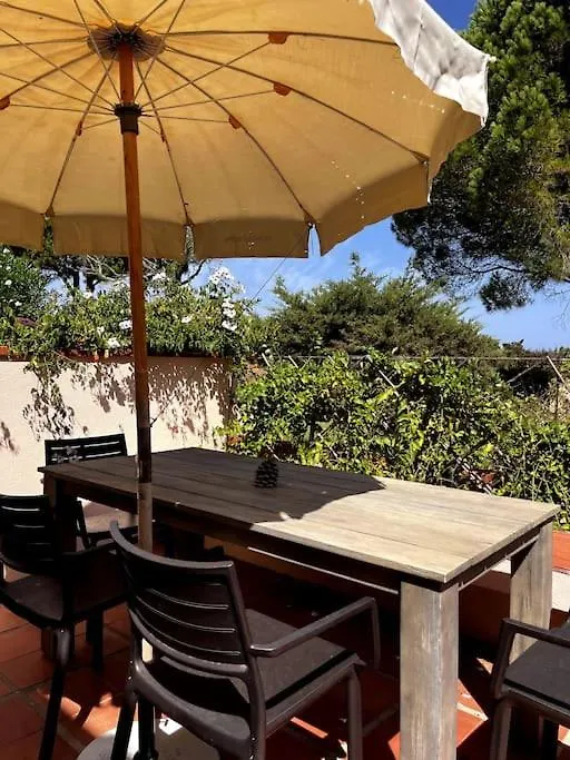 Portopollo Sea View Apartment Zero Budget 帕劳 0*,  意大利